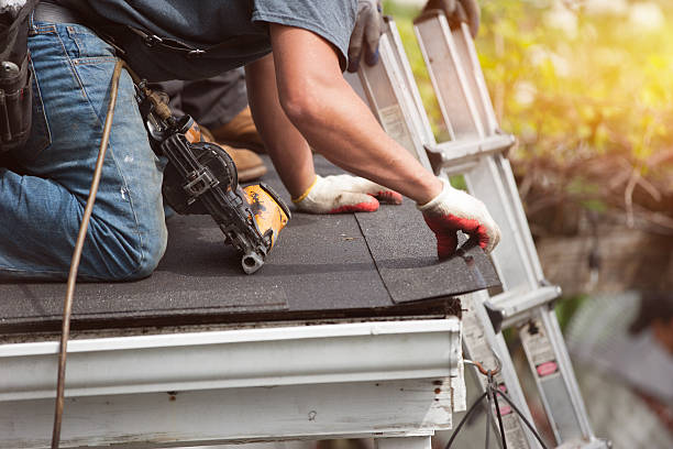 Best Roof Gutter Cleaning  in Bostonia, CA